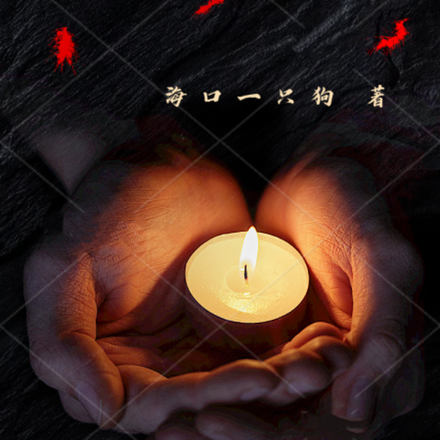 东北荒野迷踪
