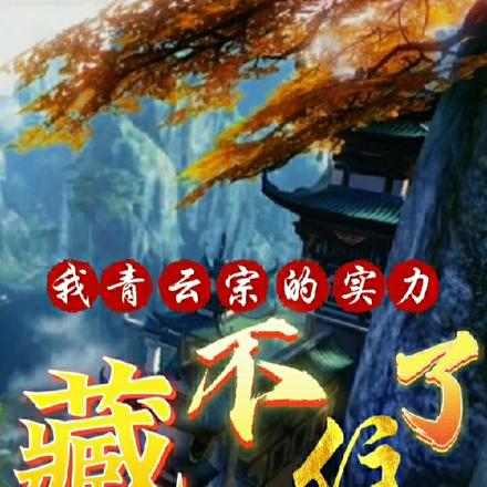 我青云宗的实力藏不住了
