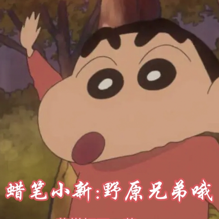 蜡笔小新:野原兄弟哦