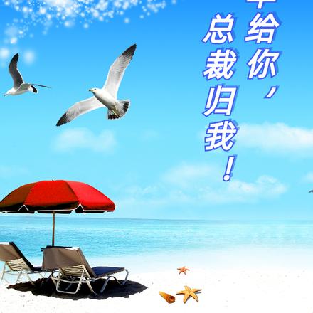 荣华给你，总裁归我！