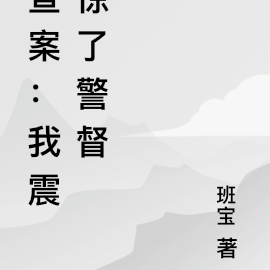 查案:我震惊了警督