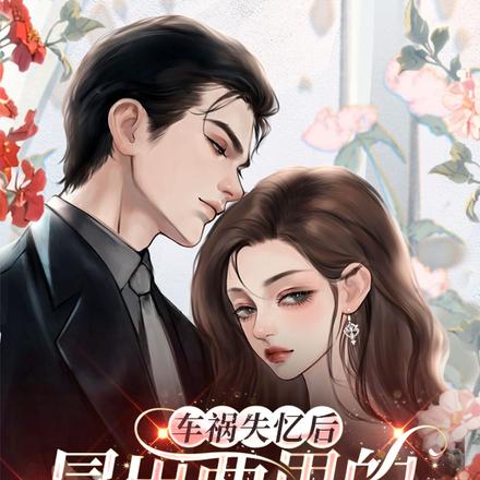 车祸失忆后冒出两男的说是我老公