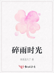 碎雨时光