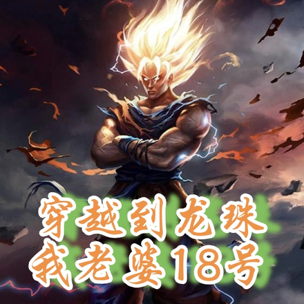 穿越到龙珠我老婆18号