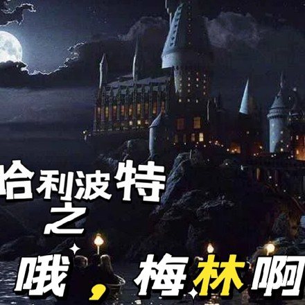 哈利波特之哦，梅林啊
