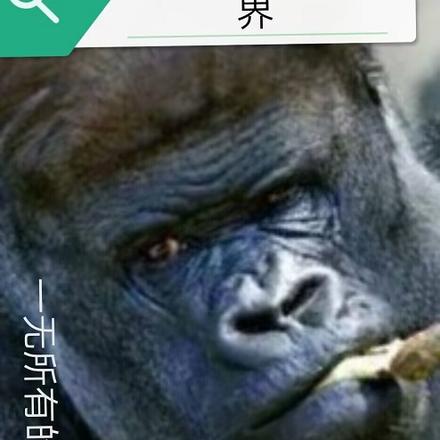被猴子扔到异世界