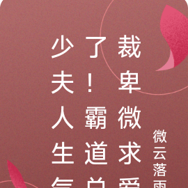 少夫人生气了!霸道总裁卑微求爱