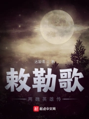 敕勒歌:两魏英雄传