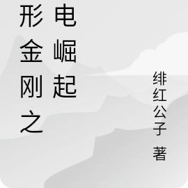 变形金刚之闪电崛起