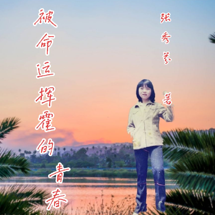 被命运挥霍的青春