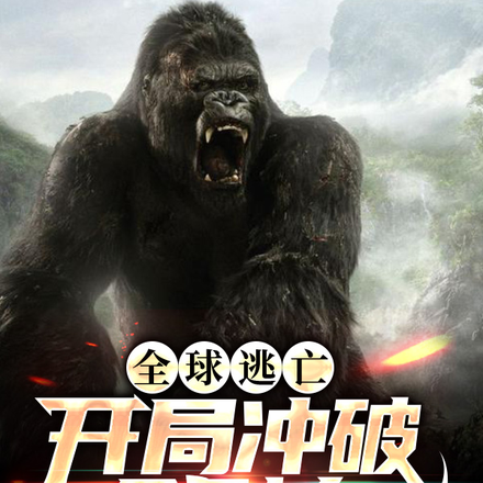 全球逃亡:开局冲破金刚岛