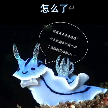 我都无敌了，吃几只兽皇怎么了