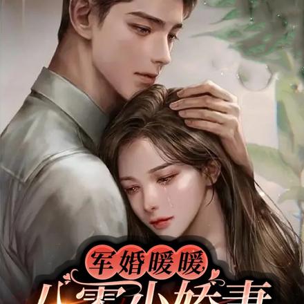 军婚暖暖,八零小娇妻又撩又甜