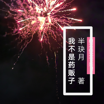 我不是药贩子
