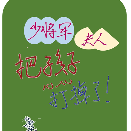 少将军,夫人把孩子打掉了
