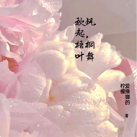 秋风起，梧桐叶舞