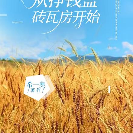 重生80:从挣钱盖砖瓦房开始