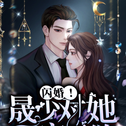 闪婚!晟少对她又宠又欲
