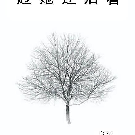 趁她还活着