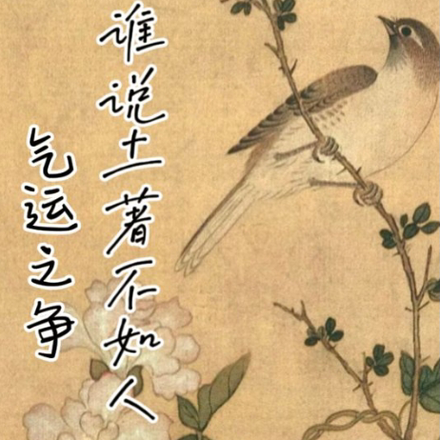 气运之争,谁说土著不如人