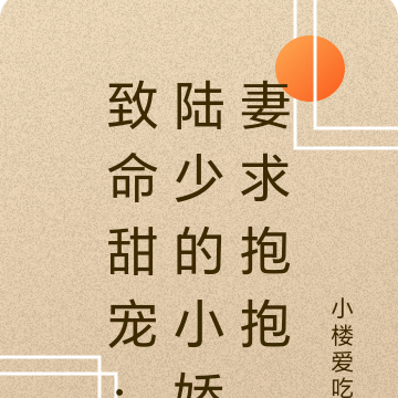 致命甜宠:陆少的小娇妻求抱抱