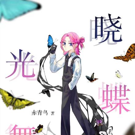 晓光蝶舞
