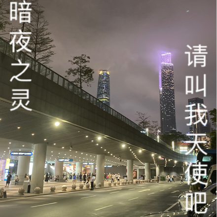 隐于暗夜之灵
