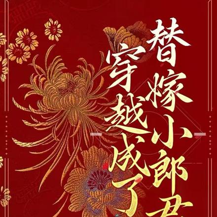 穿越成了替嫁小郎君