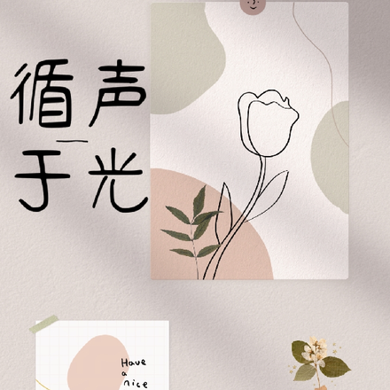 循声于光