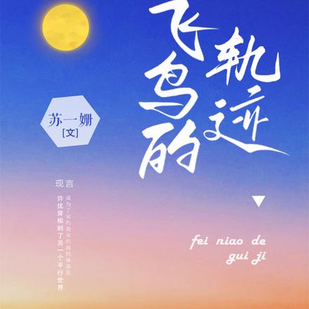 飞鸟的轨迹