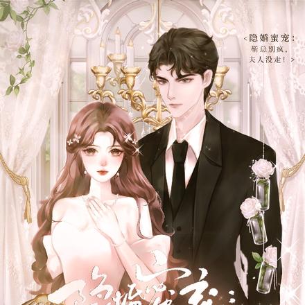 隐婚蜜宠:靳总别疯,夫人没走!