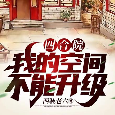 四合院:我的空间不能升级