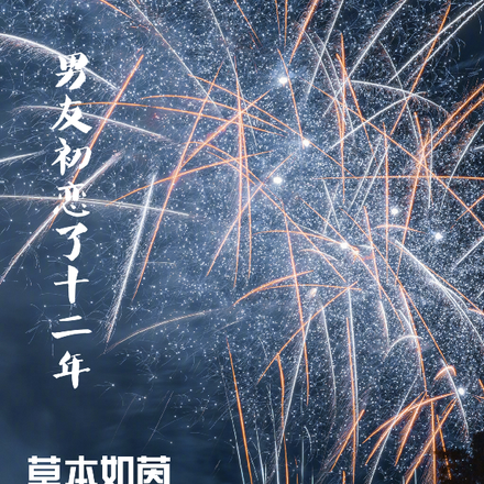 男友初恋了十二年