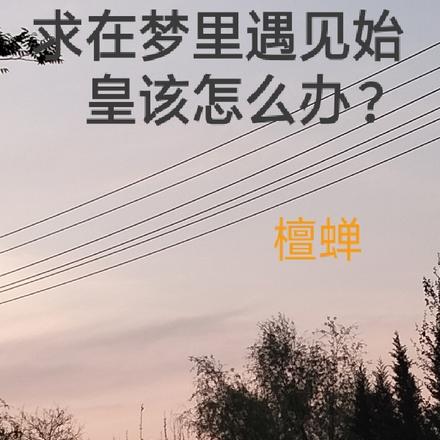 求在梦里遇见始皇该怎么办？