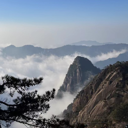 小灵猫的现世之旅