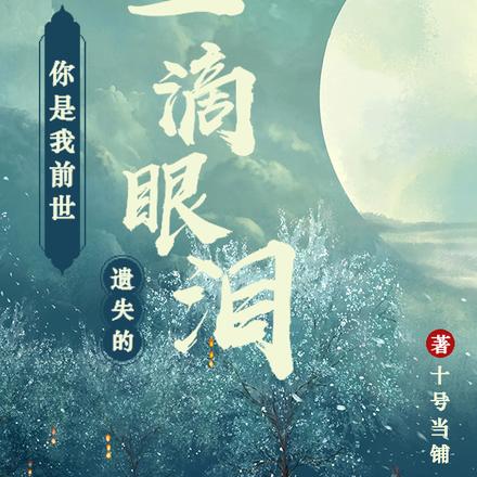 你是我前世遗失的一滴眼泪