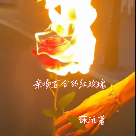 亲吻百合的红玫瑰