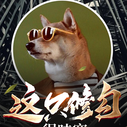 这只修勾很哇塞