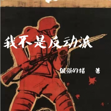 我不是反动派