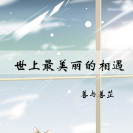 世上最美丽的相遇