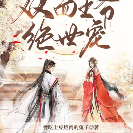 特工皇妃，双面王爷绝世宠