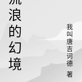 流浪的幻境