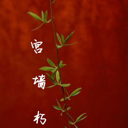 宫墙朽