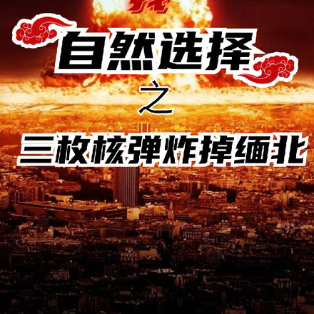 我自然选择之三枚核弹炸掉缅北