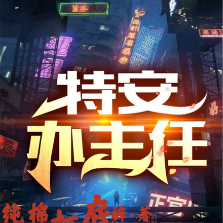 特安办主任