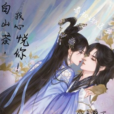 白山茶心悦你