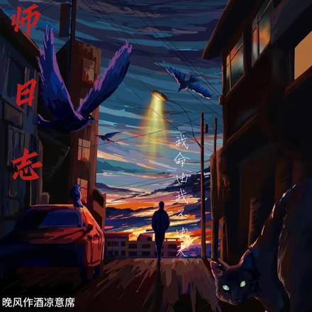 藏师日志