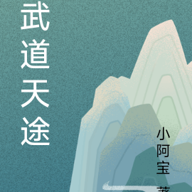 武道天途