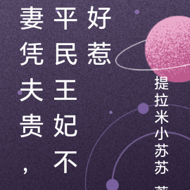 妻凭夫贵，平民王妃不好惹