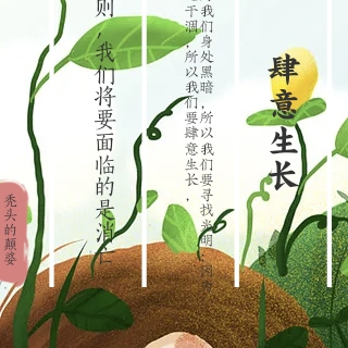 肆意，生长